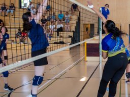 2026-coupe-dames