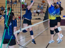 2026-coupe-dames